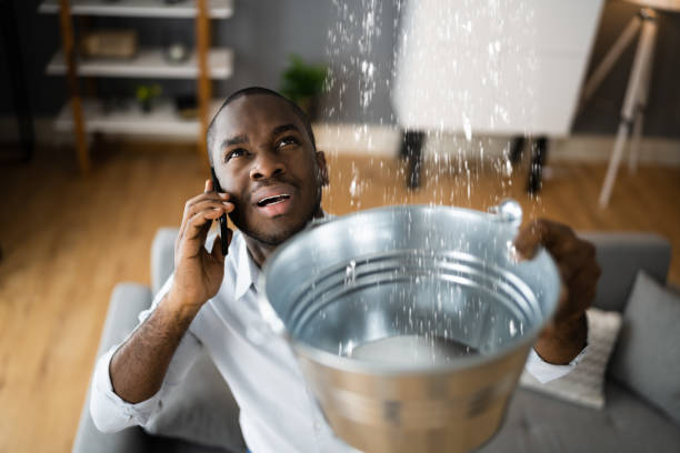 Best Water damage restoration near me  in Great Falls, SC