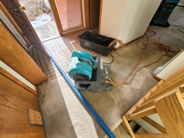 Water damage restoration insurance claims in SC