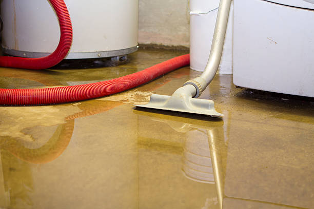 Best Flood damage cleanup  in Great Falls, SC