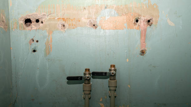 Best Basement water damage restoration  in Great Falls, SC