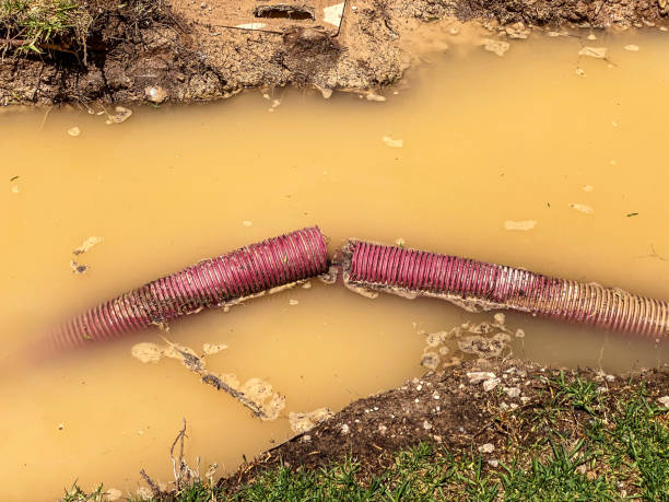 Best Water damage cleanup near me  in Great Falls, SC